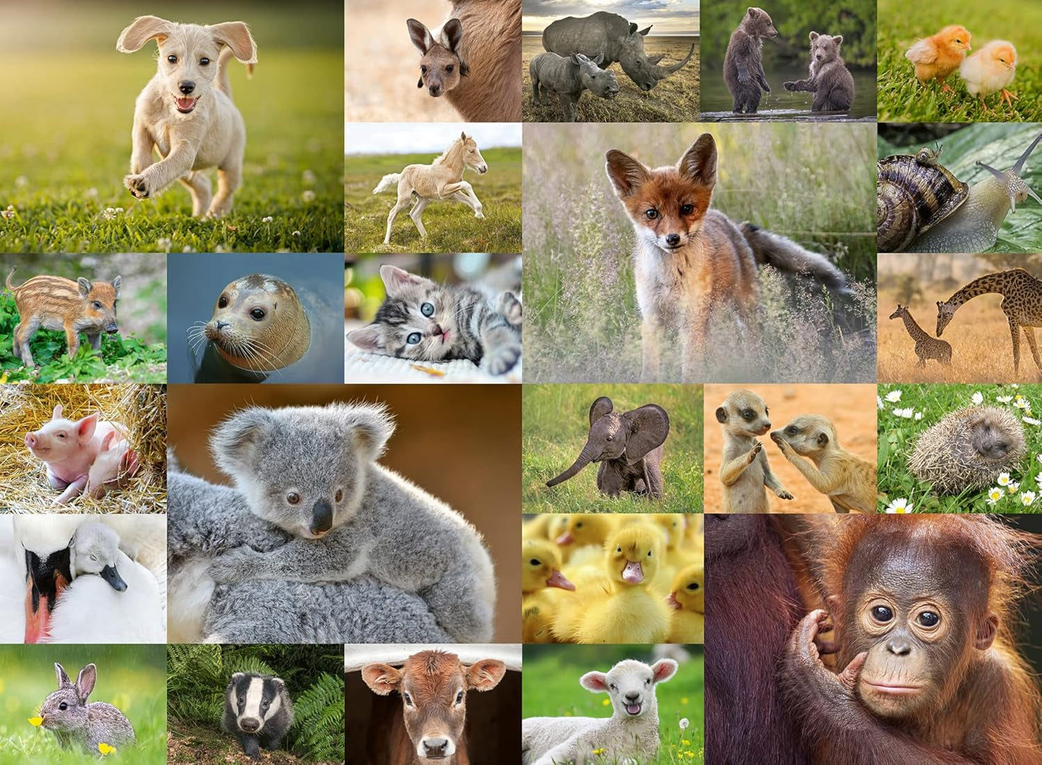 Ravensburger Legpuzzel voor kinderen - 13353 Lieve dieren voor kinderen - Legpuzzel van 200 stukjes voor kinderen vanaf 8 jaar Puzzel Naty Shop