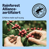 by Amazon Entkoffeinierte 100% Arabica-Kaffeepads, geeignet für Senseo-Maschinen, medium Röstung, 36 Stück (1 Packung mit 36 ​​​​Stück) – Rainforest Alliance-zertifiziert