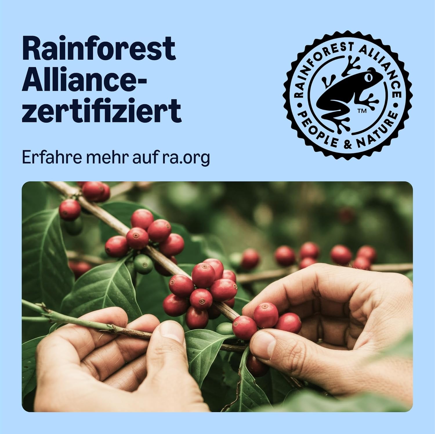 by Amazon Entkoffeinierte 100% Arabica-Kaffeepads, geeignet für Senseo-Maschinen, medium Röstung, 36 Stück (1 Packung mit 36 ​​​​Stück) – Rainforest Alliance-zertifiziert