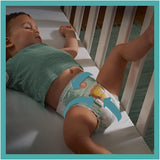Luiers PAMPERS Baby-DRY maat 7 123