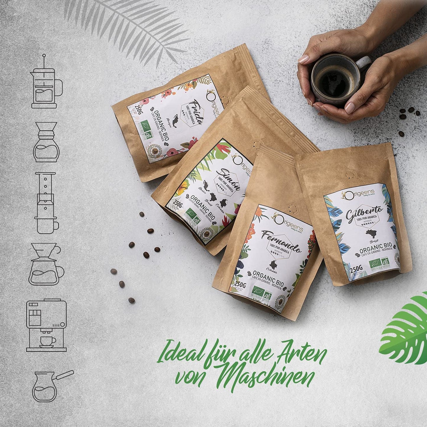 ORIGEENS Bio Kaffeebohnen Probierset 1kg | Premium Bio Arabica Kaffee Ganze Bohnen Set 4x250g | Traditionele Röstung | Kaffee Geschenkset