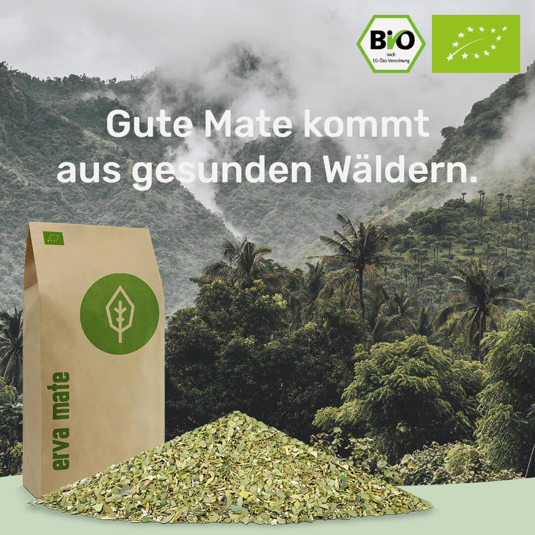 Mate thee proefset ● 4 soorten biologische Mate thee ● 100 g elk Erva Mate + Yerba Mate + Groene Mate thee + Geroosterde Mate thee