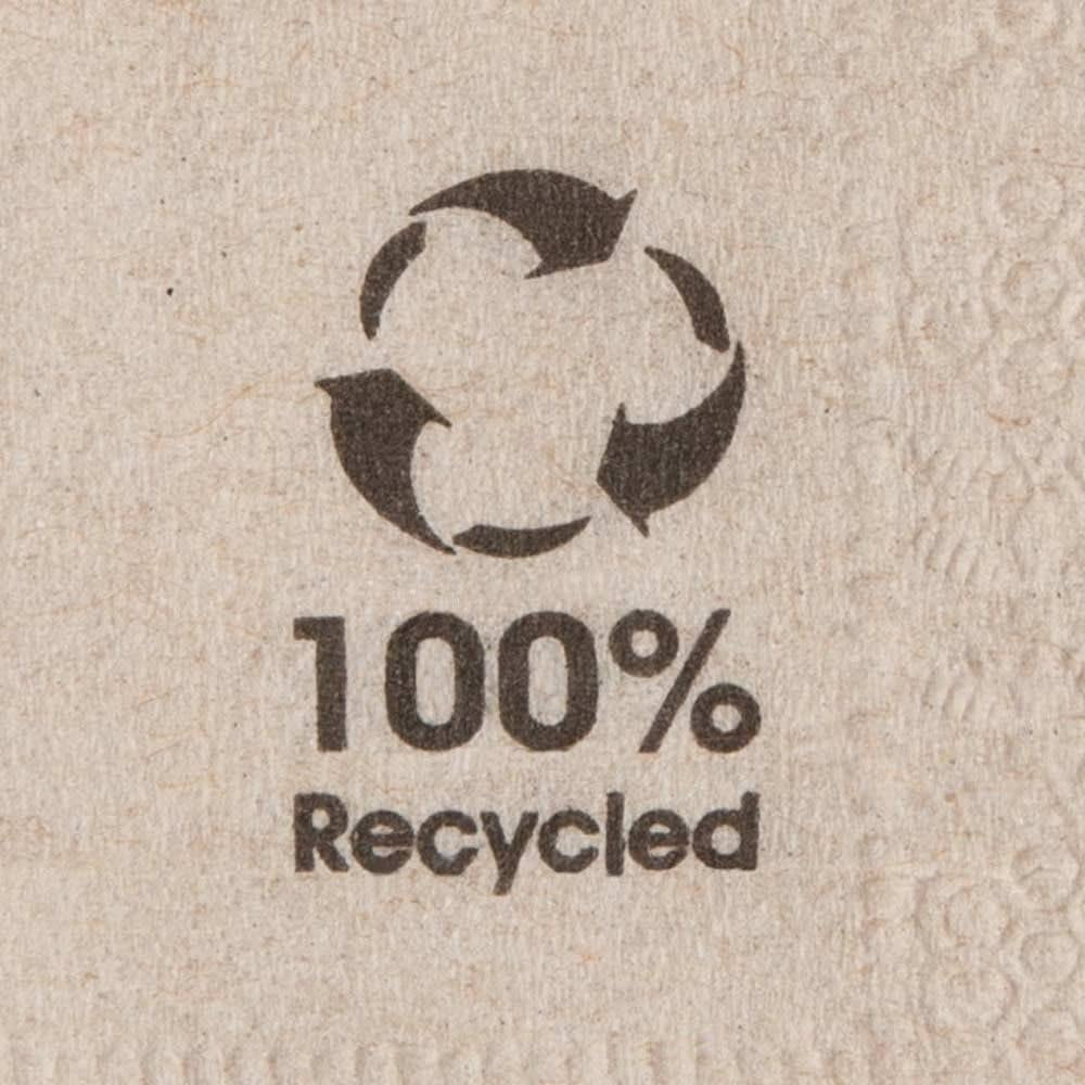 Biologische milieuvriendelijke servetten gemaakt van gerecycled papier I Papieren servetten van hoge kwaliteit 10 x 10 cm I Cocktailservetten van 100 stuks Ongebleekt Biologisch afbreekbaar Composteerbaar