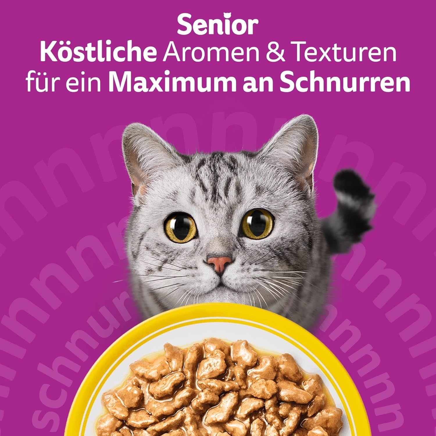 Whiskas 7+ Natvoer voor katten Selectie van gevogelte in saus 24 x 85 g (2 verpakkingen) - Hoogwaardig natvoer vanaf 7 jaar in 48 serveerzakjes