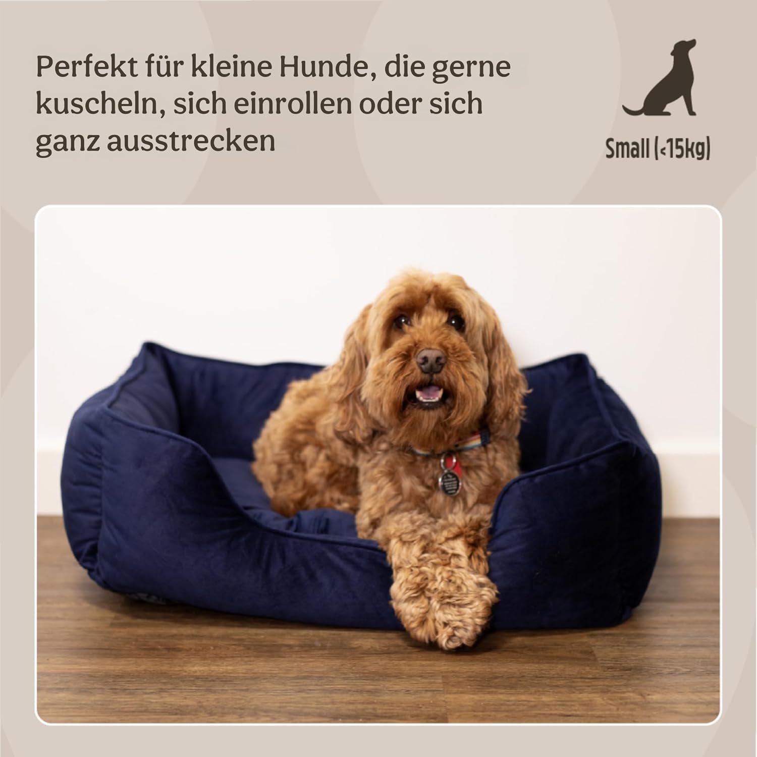 Bedden en banken, dekens en meubels, huisdieren, katten, kattenbedden, katten - bedden, matrassen