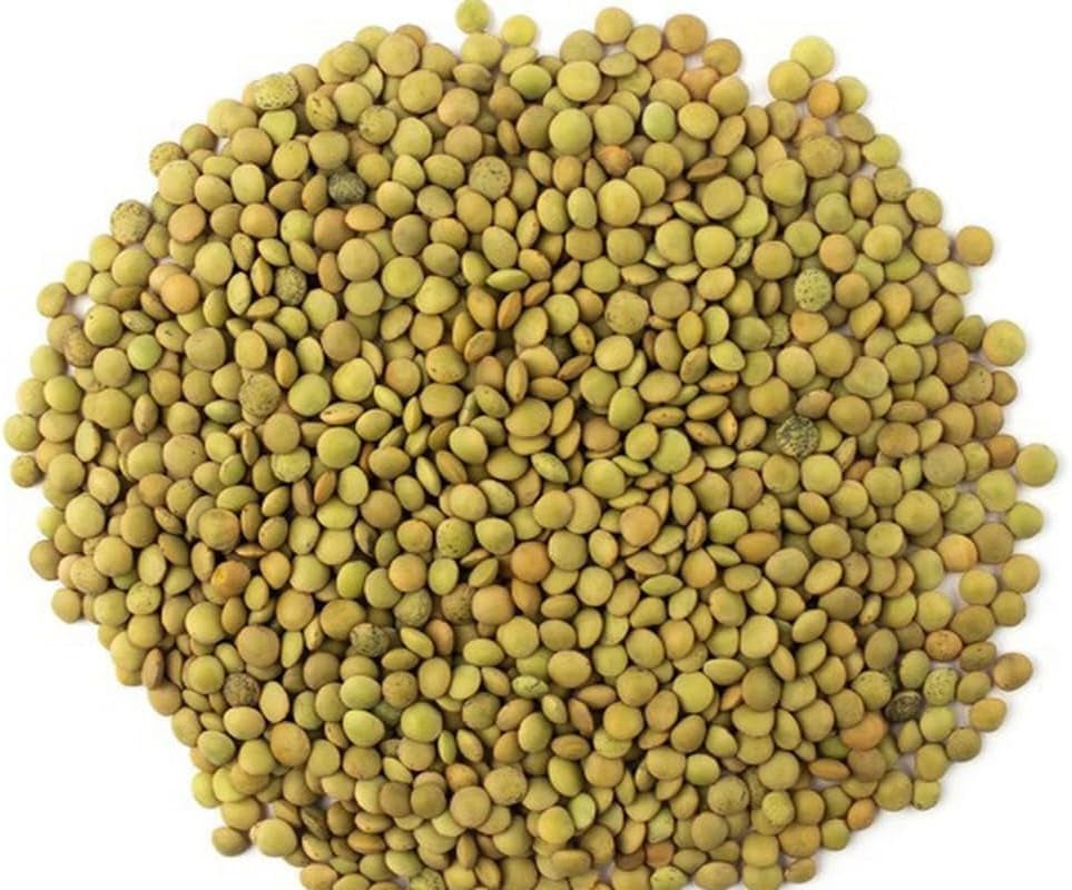Groene linzen – Laird-variëteit, verpakking van 1 kg | Premiumkwaliteit, hele linzen | Rijk aan eiwitten en vezels | Veganistisch, niet-GMO | Ideaal voor soepen, salades, curries en maaltijdbereiding