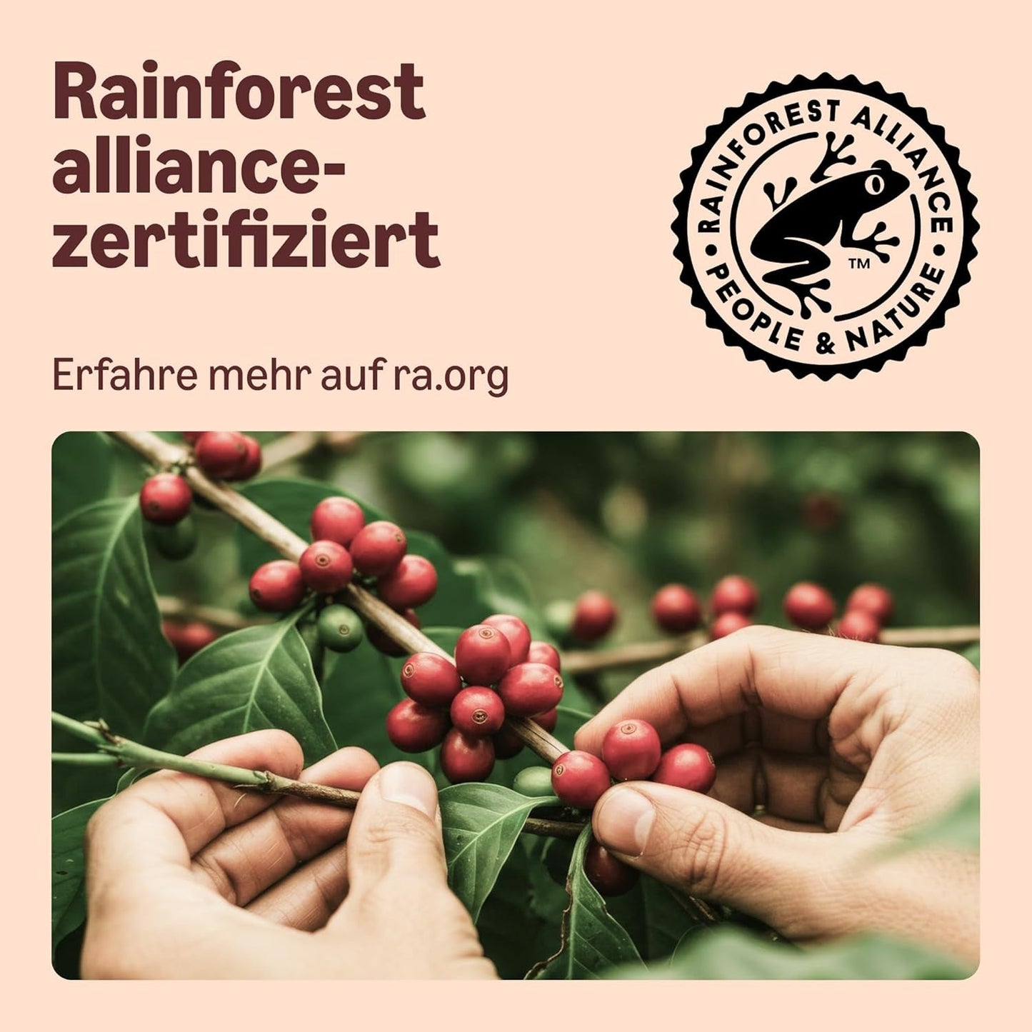 By Amazon Heimkompostierbare Kaffeekapseln, compatibel met Nespresso, 100% kolumbianischer Arabica, 20 Stück – Rainforest Alliance-zertifiziert