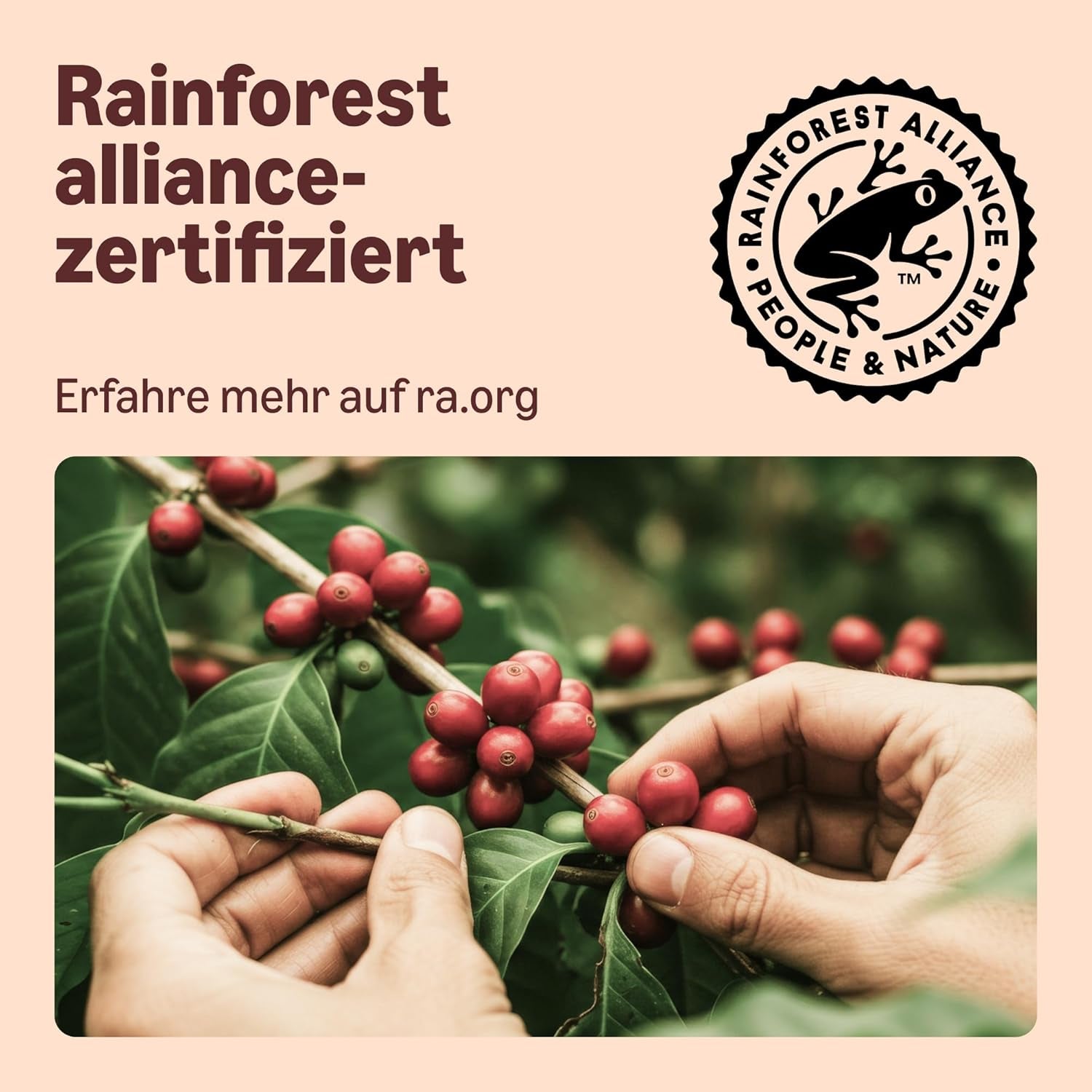 By Amazon Heimkompostierbare Kaffeekapseln, compatibel met Nespresso, 100% kolumbianischer Arabica, 20 Stück – Rainforest Alliance-zertifiziert
