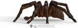 Schleich 13987 Aragog, vanaf 6 jaar, HARRY POTTER - speelfiguur, 17 X 8 X 14 cm Actiefiguren Naty Shop