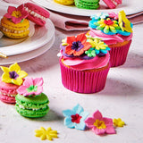 Kleurstof Funcakes Gel Powder Pink: Hooggeconcentreerde kleurstof voor deeg, room, fondant, marsepein, gebak, eenvoudige dosering, individuele druppels voor levendige kleuren, Halal, 30 g