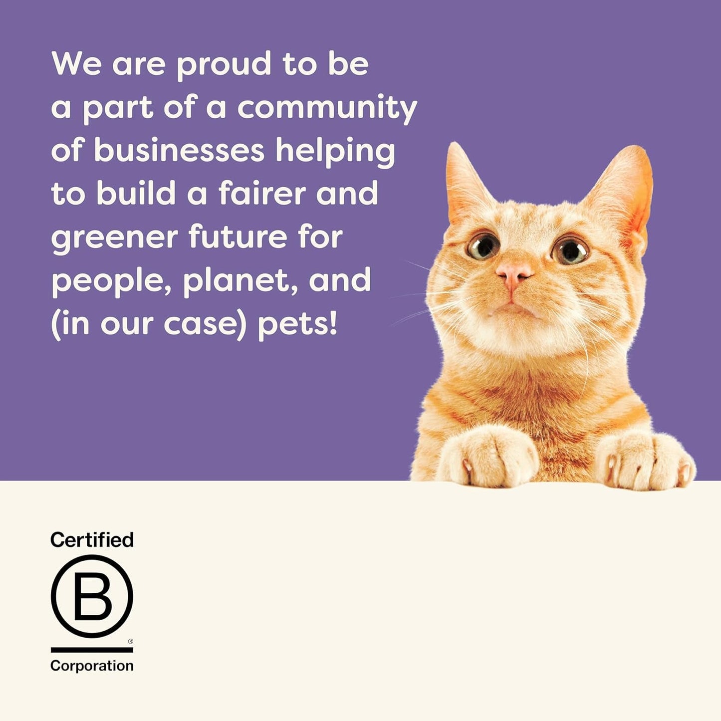 Applaws 100% natuurlijk premium natvoer voor volwassen katten in bouillon - tonijn, kip, zeevruchten, gemengde selectie in bouillon - verpakking van 12 blikjes x 70 g
