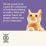 Applaws 100% natuurlijk premium natvoer voor volwassen katten in bouillon - tonijn, kip, zeevruchten, gemengde selectie in bouillon - verpakking van 12 blikjes x 70 g