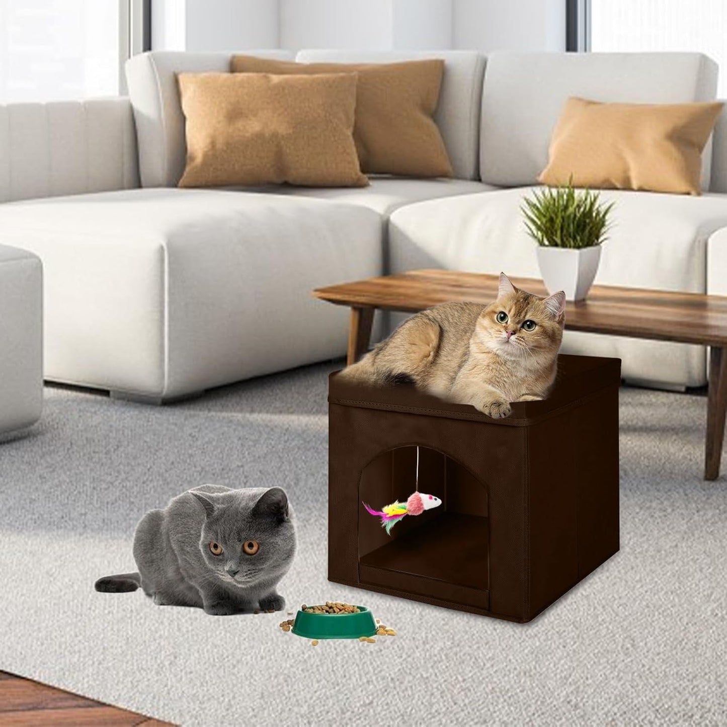 Dekens en meubels, Huisdieren, Grotten & Huizen, Katten, Kattenbedden, Katten - bedden, matrassen