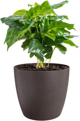elho The Coffee Collection, ronde binnenpot, 18 cm, gemaakt van koffiedik en gerecycled plastic - bruin/espressobruin