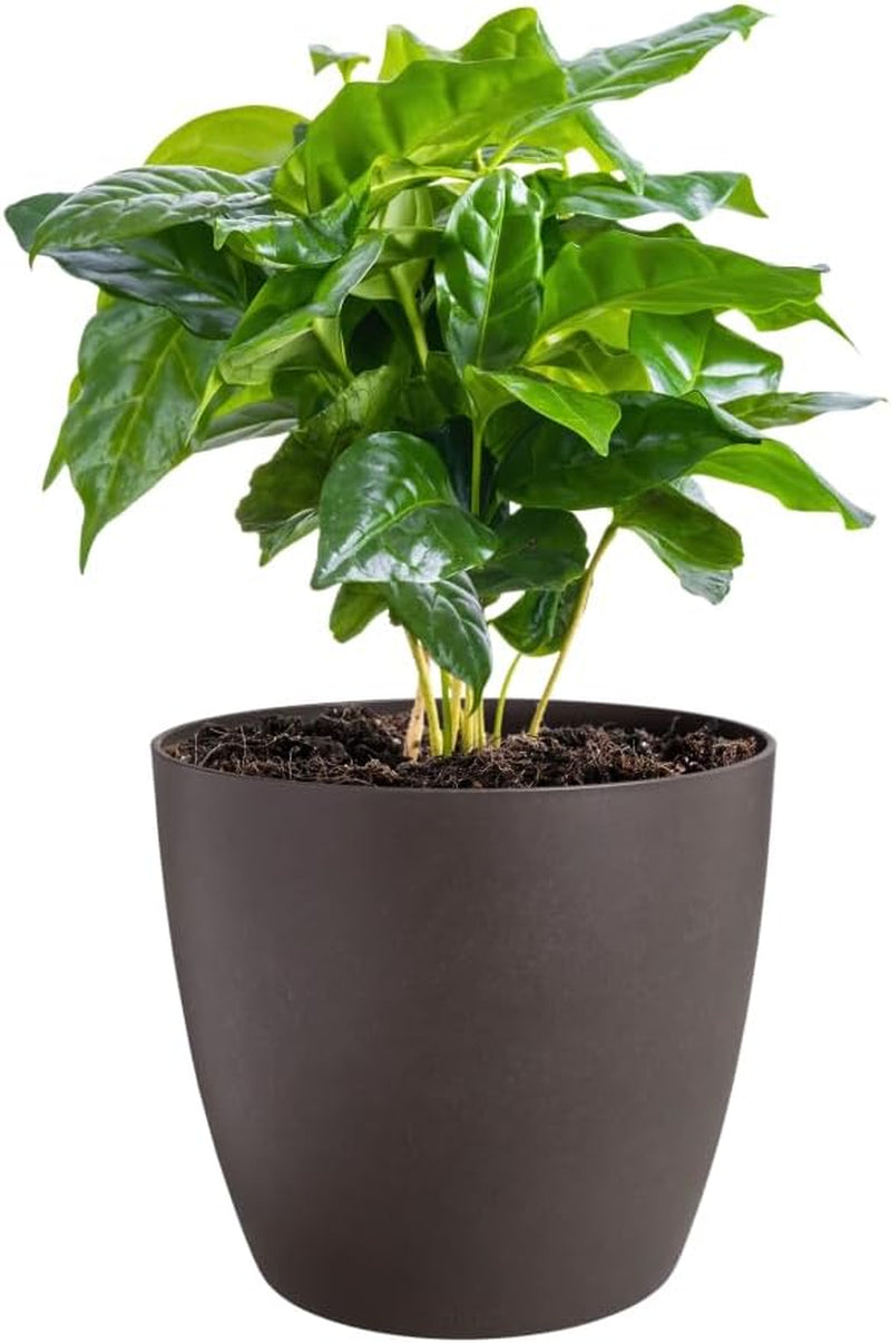 elho The Coffee Collection, ronde binnenpot, 18 cm, gemaakt van koffiedik en gerecycled plastic - bruin/espressobruin
