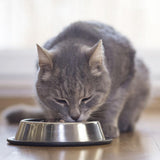 BEAPHAR - Nierdieet met kip - Volledige voeding voor katten met chronisch nierfalen - Ter ondersteuning van de nierfunctie - 100 g