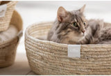 Bedden, dekens & meubels, huisdieren, katten, kattenbedden, Katten - bedden, matrassen