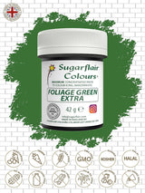 Sugarflair Max Geconcentreerde Bladeren Groene Voedselkleuring, Sterk Geconcentreerde Marsepein en Fondant Voedselkleuring, Max Concentrate Pasta Kleurstof - 42g