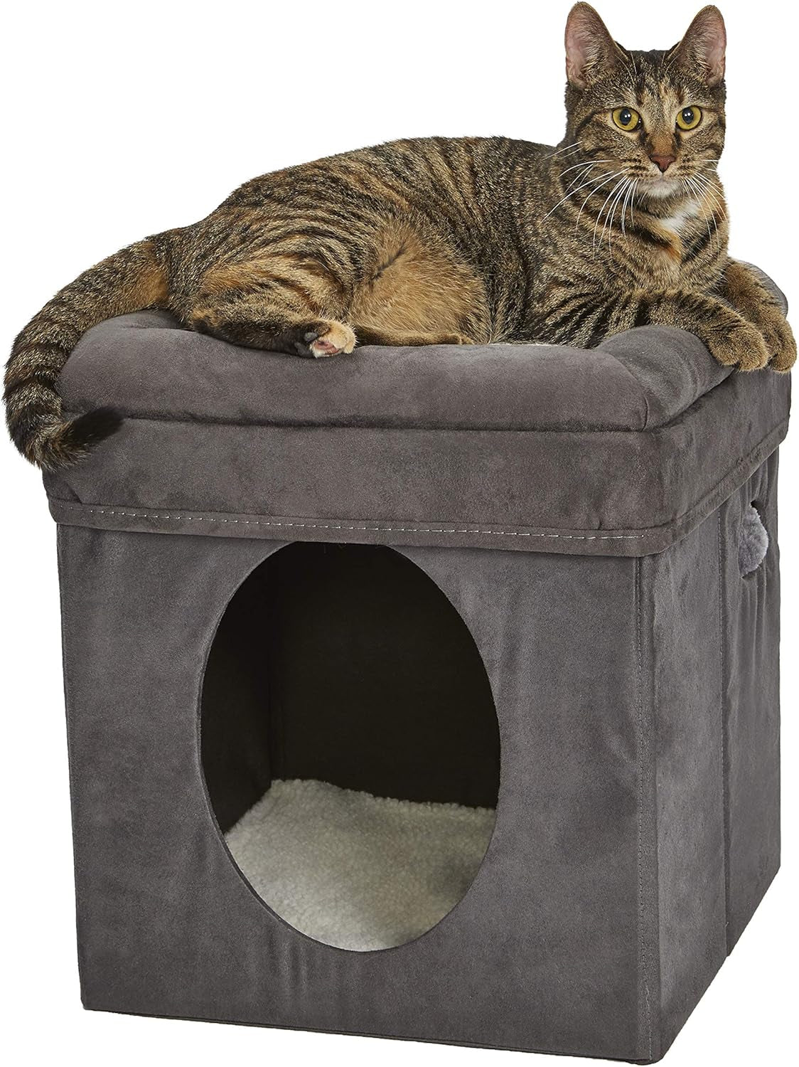 Bedden en banken, dekens en meubels, huisdieren, katten, kattenbedden, katten - bedden, matrassen