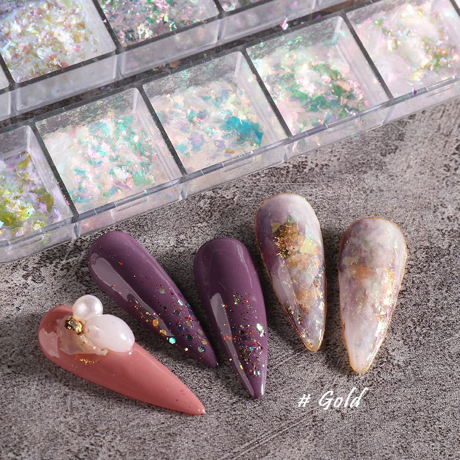 JMEOWIO Nagelglitter 12 roosters Aurora Nail Art decoratieaccessoires nageldesign