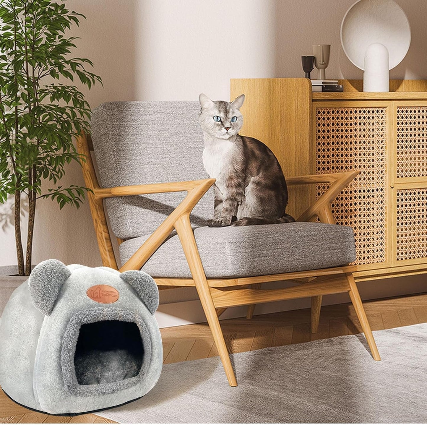 Dekens en meubels, Huisdieren, Grotten & Huizen, Katten, Kattenbedden, Katten - bedden, matrassen