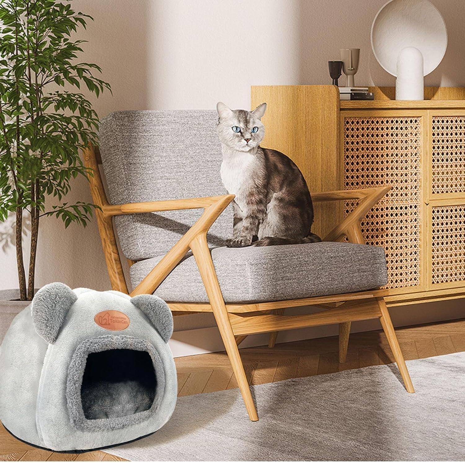Dekens en meubels, Huisdieren, Grotten & Huizen, Katten, Kattenbedden, Katten - bedden, matrassen