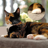 Dekens en meubelen, Raamstoelen, Huisdieren, Katten, Kattenbedden, Katten - bedden, matrassen