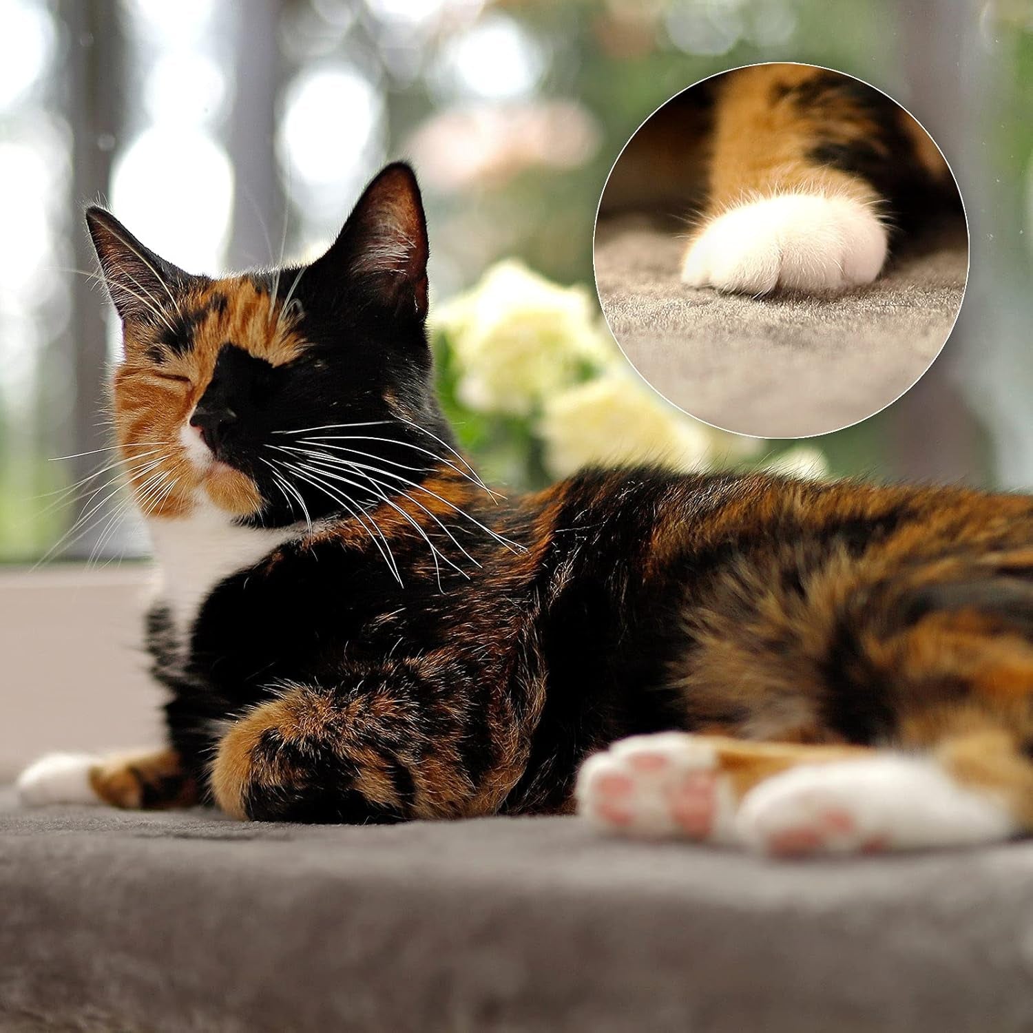 Dekens en meubelen, Raamstoelen, Huisdieren, Katten, Kattenbedden, Katten - bedden, matrassen
