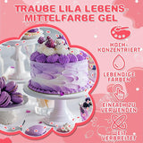 Gelvoedselkleuring - HXDZFX 2×30ml, suikervrije voedselkleuring, sterk geconcentreerd, voor het versieren van taarten, witte fondant, bitterkoekjes, koekjes, bakken, paaseieren, slijm (druivenpaars)