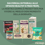 Lichte biologische cornflakes 500g per verpakking