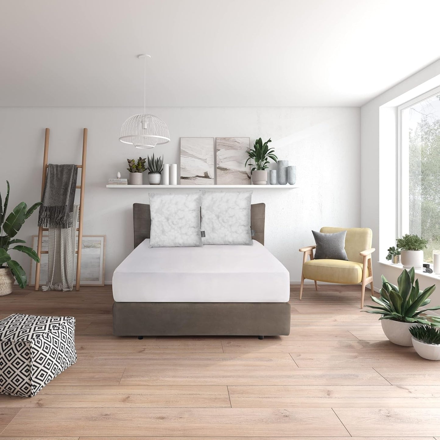 Traumnacht Green Basic Kussenset bestaande uit twee kussens 80 X 80 Cm, Oeko-Tex gecertificeerd, geproduceerd volgens de Duitse kwaliteitsnorm Naty Shop standaard kussens 80 X 80 Cm