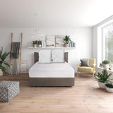 Traumnacht Green Basic Kussenset bestaande uit twee kussens 80 X 80 Cm, Oeko-Tex gecertificeerd, geproduceerd volgens de Duitse kwaliteitsnorm Naty Shop standaard kussens 80 X 80 Cm