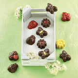 Silikomart 199199, mal voor chocolade, Lentemodel, 15 pralines, Brown Kitchen Naty Shop