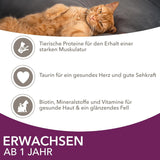 IAMS Delights Land & Sea Collection Natvoer voor katten - vlees- en visassortiment Multipack in saus, natvoer voor katten vanaf 1 jaar, 72 x 85 g