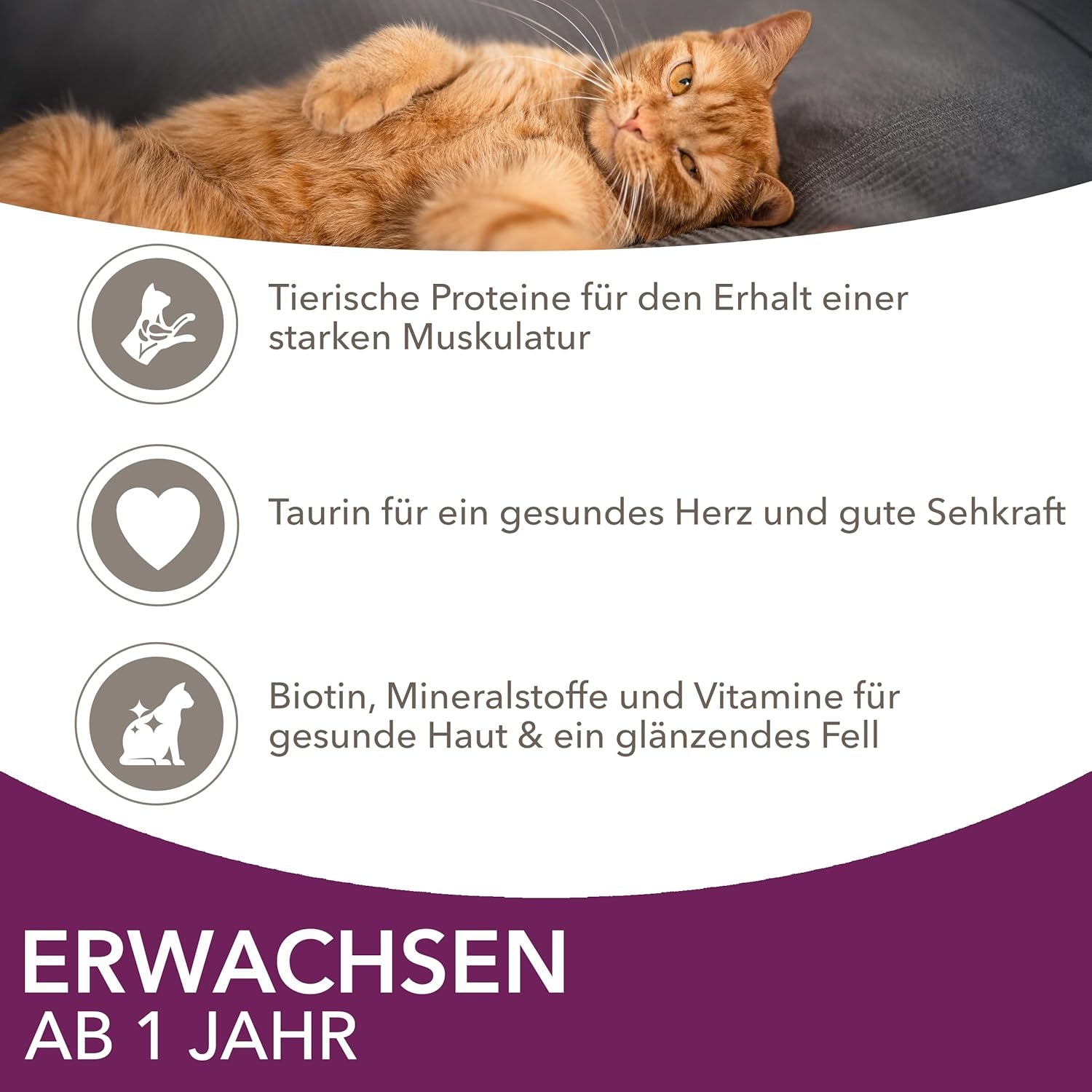 IAMS Delights Land & Sea Collection Natvoer voor katten - Assortiment vlees en vis Multipack in saus, Natvoer voor katten vanaf 1 jaar, 12 x 85 g