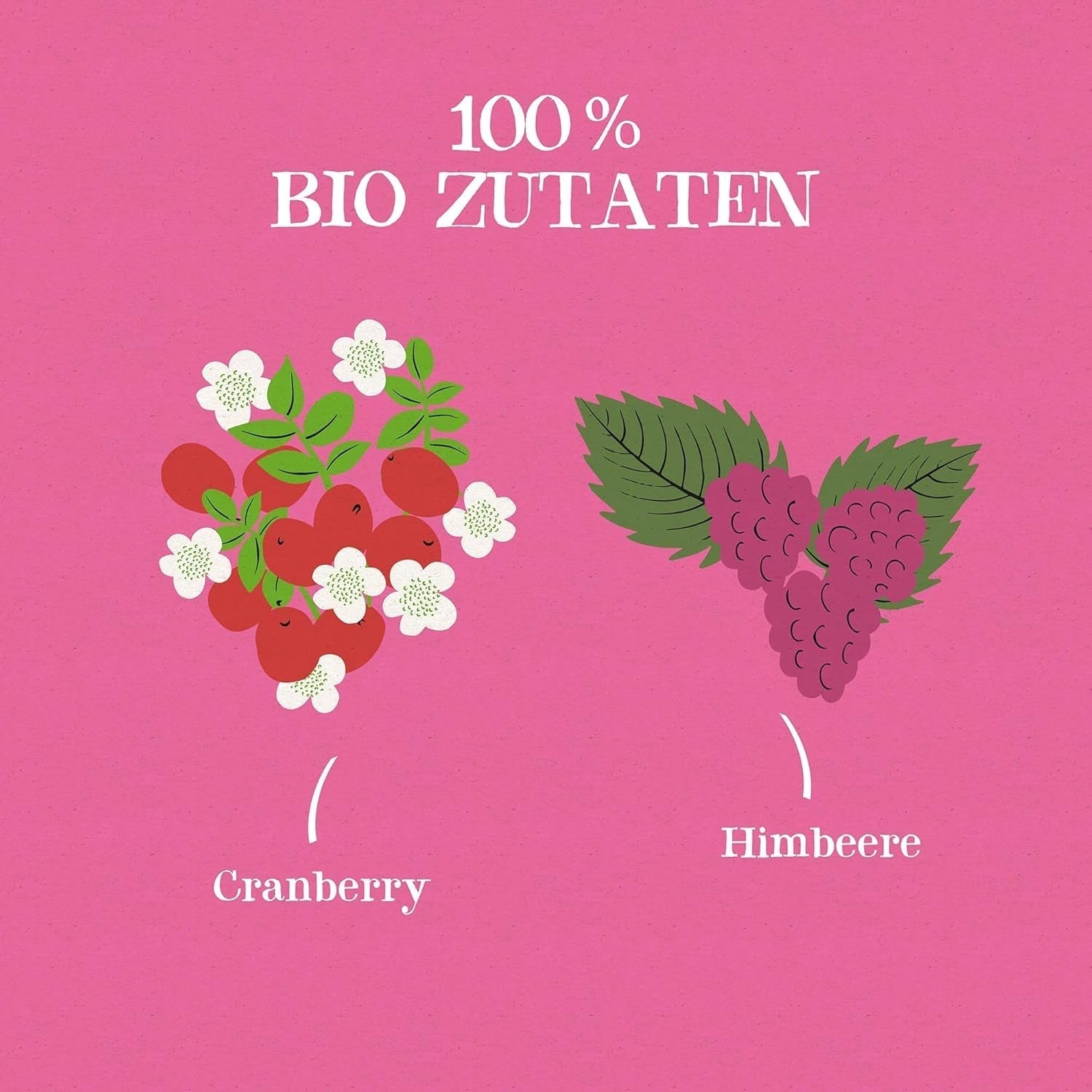 Cupper Biologische fruitthee Cranberry Framboos | Frambozenthee | 250 ongebleekte theezakjes | Groot pakket | Ideaal voor op kantoor | Ecologisch | Eerlijke handel