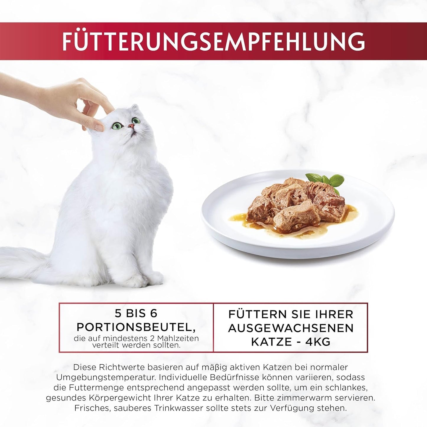 Gourmet Mon Petit Intense natvoer voor katten, gevogeltevariëteit, 8 stuks (8 x 6 zakjes van elk 50 g)