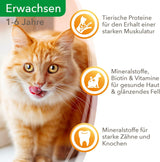 IAMS Delights Natvoer voor katten met sappig rundvlees en wortels in gelei - Compleet natvoer voor volwassen katten, 24 zakjes x 85 g