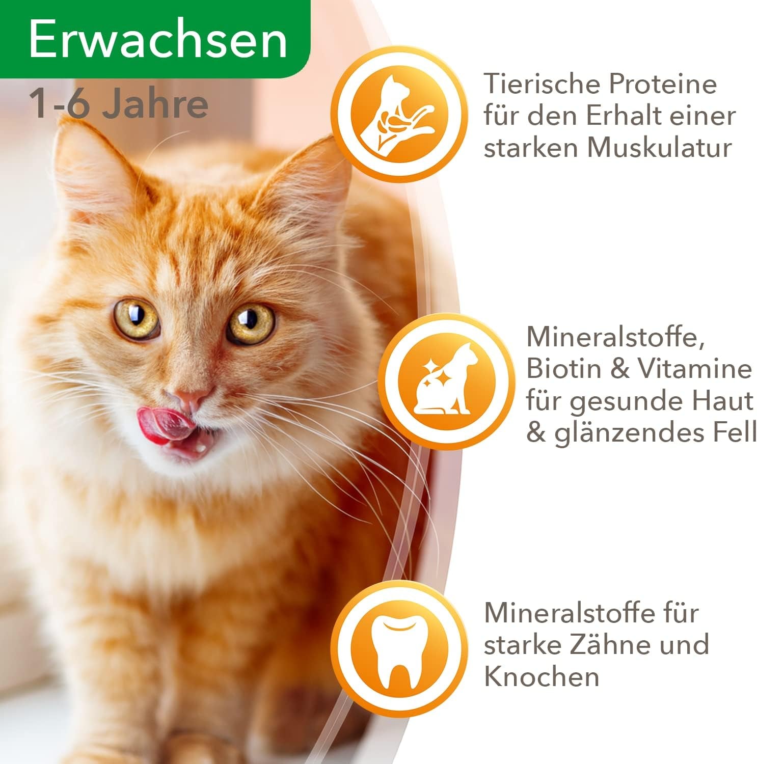 IAMS Delights Natvoer voor katten met sappig rundvlees en wortels in gelei - Compleet natvoer voor volwassen katten, 24 zakjes x 85 g