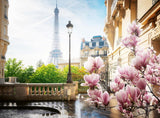 Ravensburger Puzzel 12000366 - Lente in Parijs - Legpuzzel van 500 stukjes voor volwassenen en kinderen vanaf 12 jaar Puzzel Naty Shop Scenic