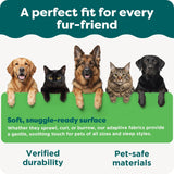 Bedden en banken, dekens en meubels, huisdieren, katten, kattenbedden, katten - bedden, matrassen