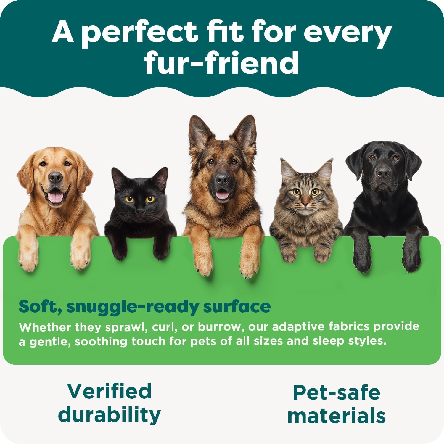 Bedden en banken, dekens en meubels, huisdieren, katten, kattenbedden, katten - bedden, matrassen