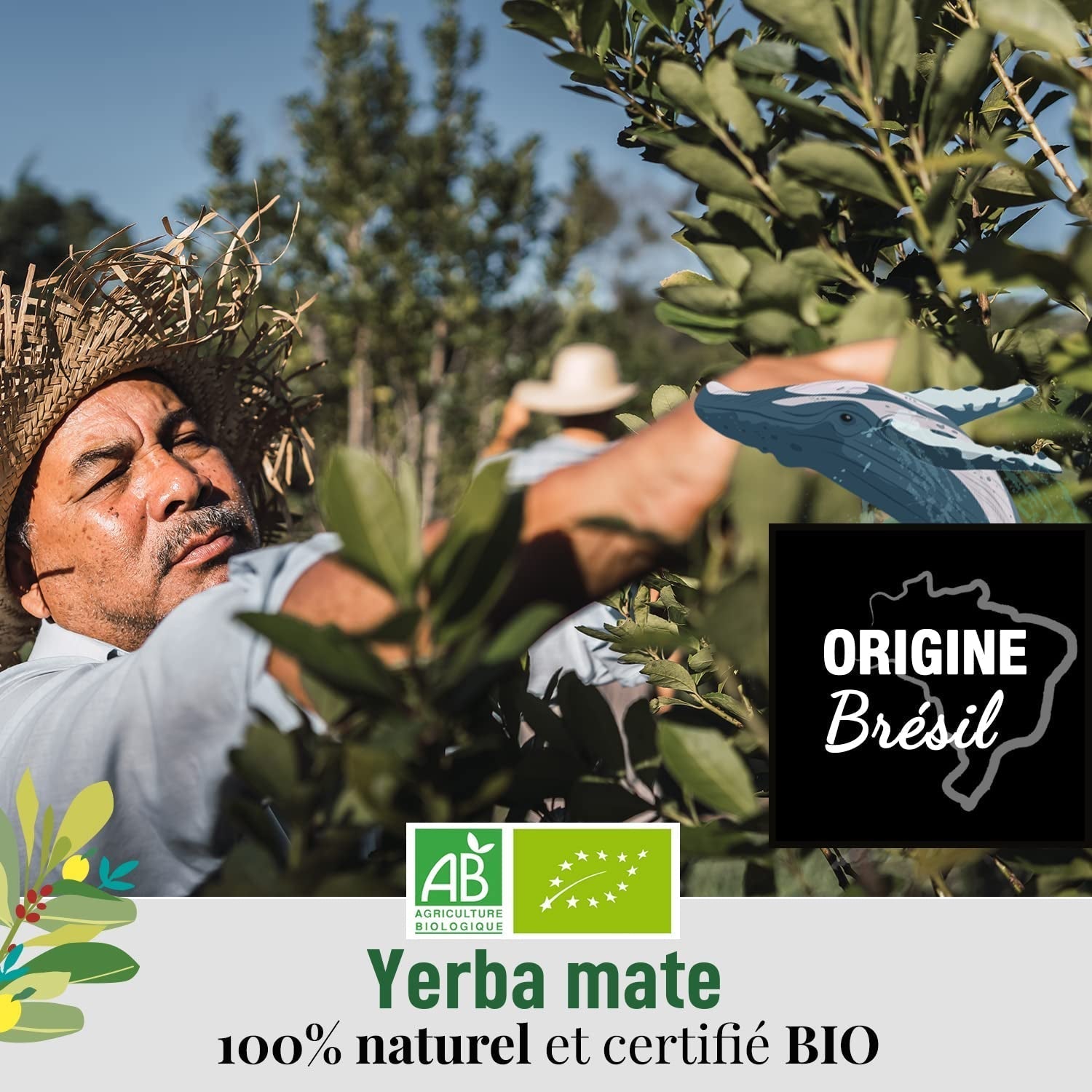 ORIGEENS BIO YERBA MATE MET MUNT EN CITROEN 200 G - Versheid I Ongebrande Bio Yerba Mate, bladeren, zonder stengels en stof