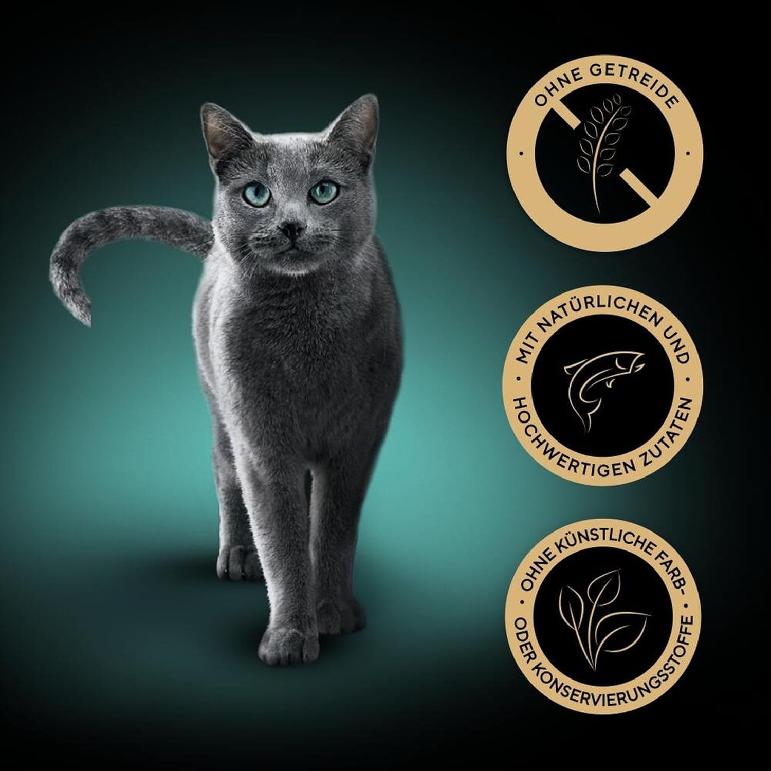 SHEBA Natvoer voor katten, Nature's Collection in zalmsaus, 2 x 11 x 85 g