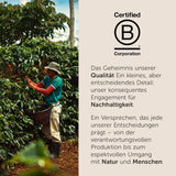 illy, Compatibel Aluminium-Kaffeekapseln CLASSICO, 100% Arabica met tonen van oranje bloemen en jasmijn, zoete smaak en zoete nasmaak, 10 verpakkingen van 10 capsules (100 in totaal)