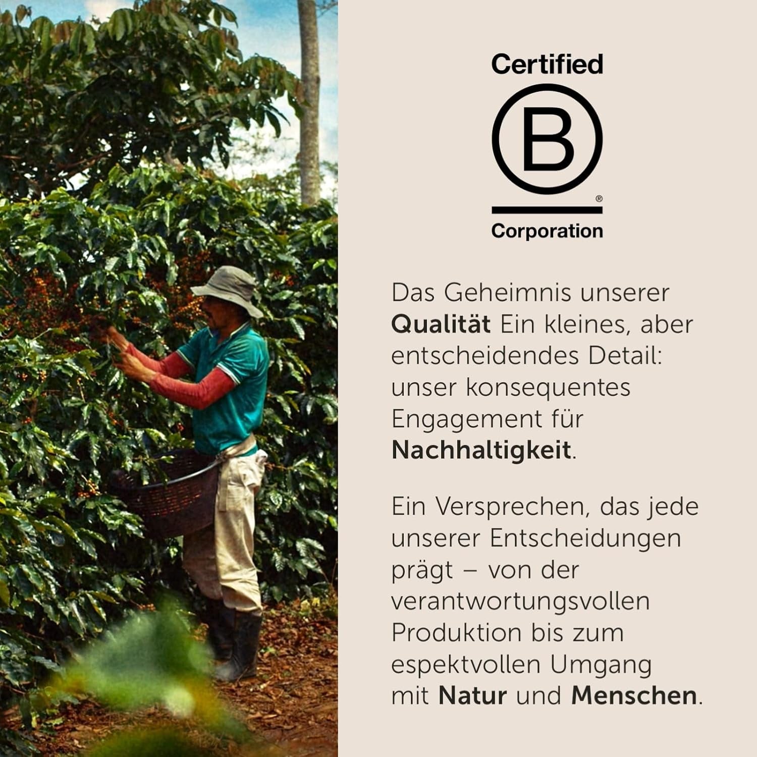 illy, Compatibel Aluminium-Kaffeekapseln CLASSICO, 100% Arabica met tonen van oranje bloemen en jasmijn, zoete smaak en zoete nasmaak, 10 verpakkingen van 10 capsules (100 in totaal)