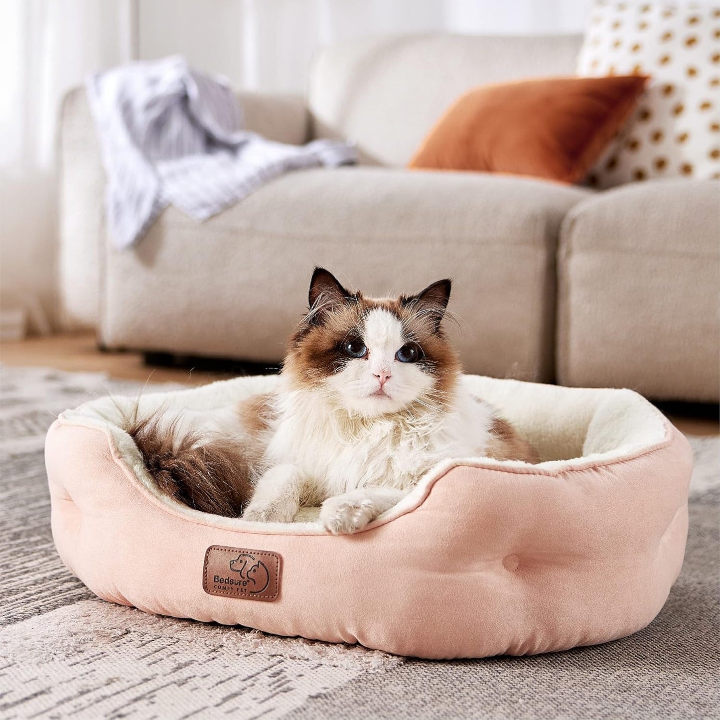 Bedden en banken, dekens en meubels, huisdieren, katten, kattenbedden, katten - bedden, matrassen