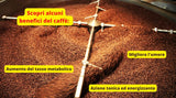 Caffè New York - XXXX - Koffie met hele bonen - 1000g