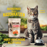 Shelma Katzen-Nassfutter mit Lachs in Sauce und Spirulina – Getreidefreies Alleinfuttermittel met hohem Fleischanteil – 28 x 85 g (2,4 kg)