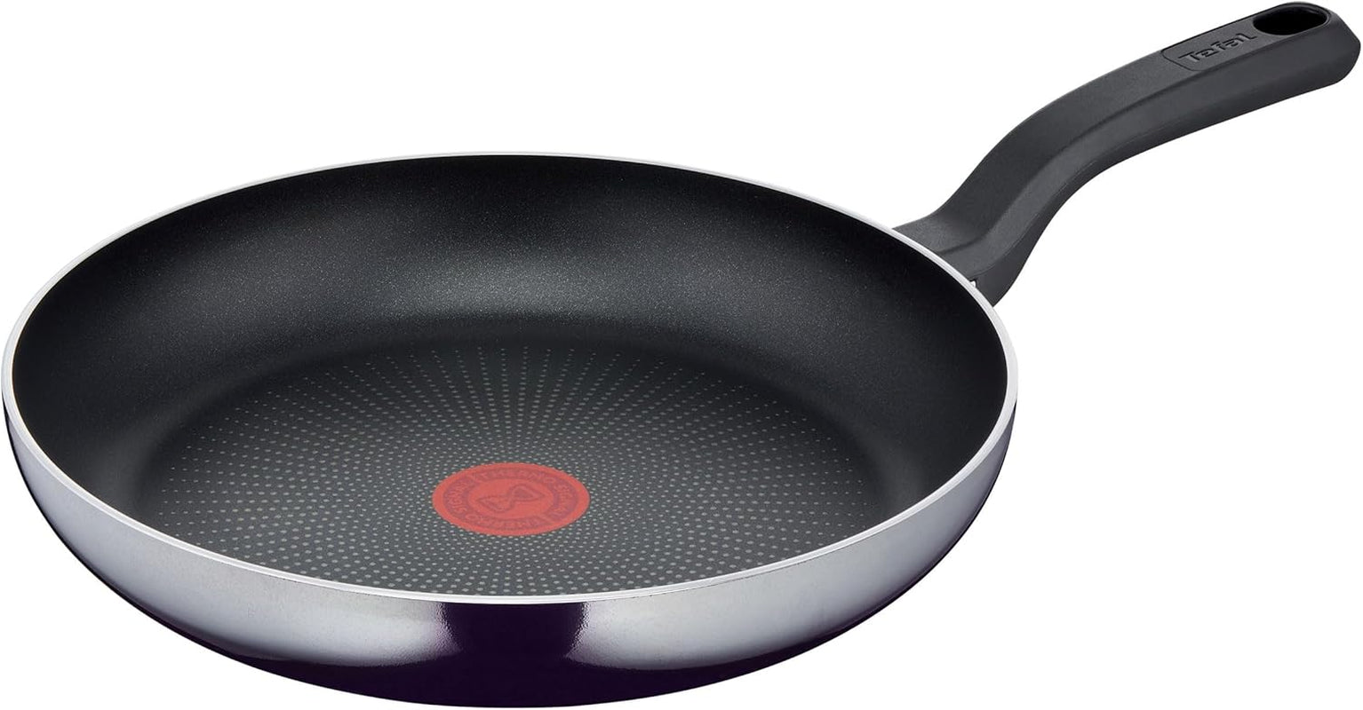 Tefal D52606 Resist, titanium antiaanbaklaag Potten en pannen Naty Shop 28 Cm